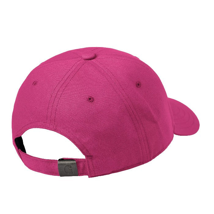 CARHARTT WIP CANVAS SCRIPT PET DISCO/YOSEMITE